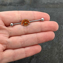 Load image into Gallery viewer, 14G Cute Colorful Turkey Thanksgiving Industrial Barbell 38mm
