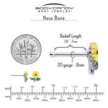 将图片加载到图库查看器，20G 1/4 Cheery Inlay Sunflower Nose Bone
