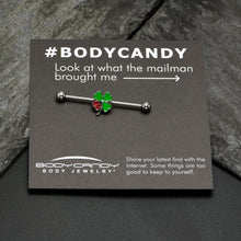 Load image into Gallery viewer, 14G Ladybug Shamrock St Patricks Day Industrial Barbell 38mm
