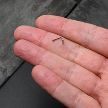 将图片加载到图库查看器，18G 1/4 ASTM F-136 Implant Grade Titanium Cone End Left Side Nose Screw
