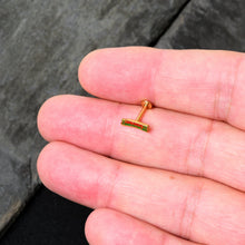 Load image into Gallery viewer, 16G 5/16 Gold Tone Merry Christmas Inlaid Labret Monroe Tragus
