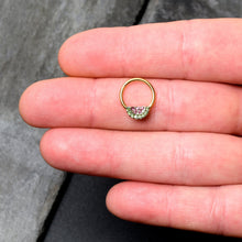 Load image into Gallery viewer, 16G 3/8 Pink Green Gem Gold Hue Watermelon Yum Hinged Segment Ring
