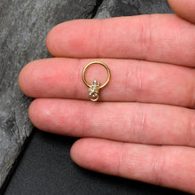 将图片加载到图库查看器，16G 3/8 Clear Gem Gold Tone Luscious Lizard Hinged Segment Ring
