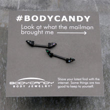 将图片加载到图库查看器，14G 9/16 Black Subtle Bat Barbell Nipple Ring Set
