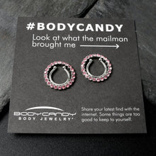 Load image into Gallery viewer, Clip On Fake Nipple Ring Set - Pink, Blue or Clear

