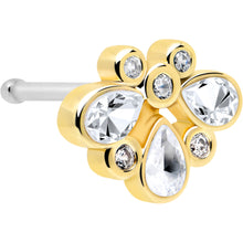 将图片加载到图库查看器，20G 1/4 Clear Gem Golden Crown Deluxe Nose Bone
