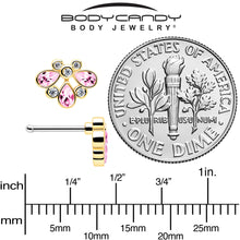 将图片加载到图库查看器，20G 1/4 Pink Gem Golden Crown Deluxe Nose Bone
