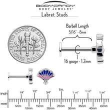 Load image into Gallery viewer, 16G 5/16 Clear CZ Gem Mesmerizing Ocean Sea Shell Magic Labret Tragus

