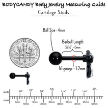 Load image into Gallery viewer, 16G 1/4 Black Funky Skunk Cartilage Tragus Earring

