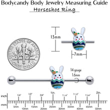 将图片加载到图库查看器，14G Easter Egg Bunny Industrial Barbell 38mm

