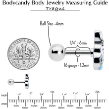 Load image into Gallery viewer, 16G 1/4 Easter Egg Bunny Cartilage Tragus Earring
