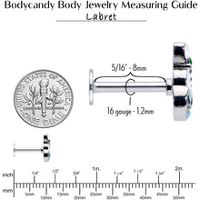 将图片加载到图库查看器，16G 5/16 Easter Egg Bunny Labret Monroe Tragus
