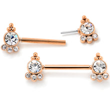Load image into Gallery viewer, 14G 9/16 Clear CZ Gem Rose Gold Tone Style Threadless Nipple Ring Set
