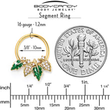 将图片加载到图库查看器，16G 3/8 Clear CZ Gem Gold Tone Leafy Beauty Hinged Segment Ring

