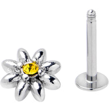 Load image into Gallery viewer, 16G Yellow Gem Bee Flower Labret Segment Ring Ear Curation Set of 5
