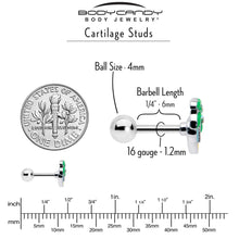 Load image into Gallery viewer, 16G 1/4 Aurora Gem Beach Heart Palm Tree Cartilage Tragus Earring
