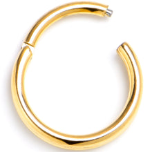 Load image into Gallery viewer, 20G 1/4 Gold PVD 316L Surgical Steel Double Precision Hinged Segment Ring
