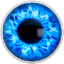 将图片加载到图库查看器，Open Blue Eye Barbell Tongue Ring
