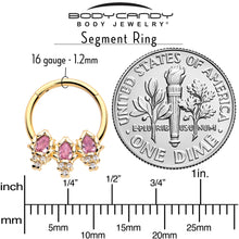 Load image into Gallery viewer, 16G 3/8 Pink CZ Gem Gold Tone Style Fire Hinged Segment Ring
