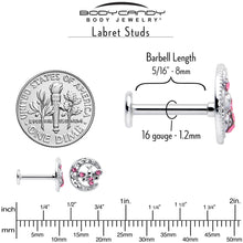 Load image into Gallery viewer, 16G 5/16 Pink Gem Lunar Dragonfly Internally Threaded Labret Tragus
