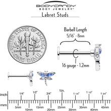 Load image into Gallery viewer, 16G 5/16 Blue CZ Gem Dragonfly Style Labret Monroe Tragus
