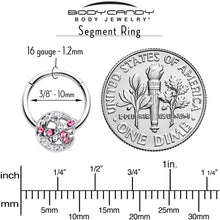 Load image into Gallery viewer, 16G 3/8 Pink Gem Lunar Dragonfly Hinged Segment Ring
