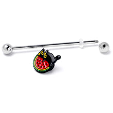 Load image into Gallery viewer, 14G Watermelon Cat Love Industrial Barbell 38mm
