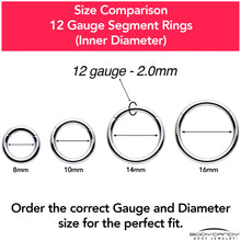 Load image into Gallery viewer, 12G 3/8 316L Surgical Steel Precision Hinged Segment Hoop
