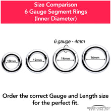 将图片加载到图库查看器，6G 1/2 316L Surgical Steel Precision Hinged Segment Hoop
