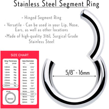 Load image into Gallery viewer, 6G 5/8 316L Surgical Steel Precision Hinged Segment Hoop
