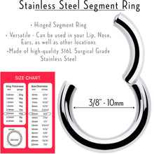 Load image into Gallery viewer, 10G 3/8 316L Surgical Steel Precision Hinged Segment Hoop
