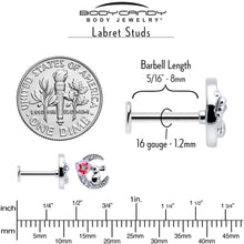 将图片加载到图库查看器，16G 5/16 Clear CZ Gem Rabbit Moon Pink Internally Threaded Labret

