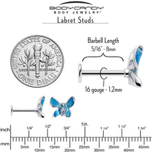 Load image into Gallery viewer, 16G 5/16 Clear Gem Chunky Butterfly Blue Labret Monroe Tragus
