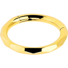Load image into Gallery viewer, Implant Grade Titanium Hinged Segment Ring - 16G 5/16
