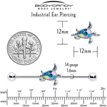 将图片加载到图库查看器，14G Glitter Turtle Industrial Barbell 38mm

