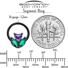 Load image into Gallery viewer, 16G 3/8 Purple Green CZ Gem Black Love Flower Hinged Segment Ring

