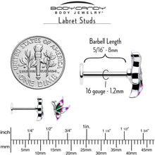 Load image into Gallery viewer, 16G 5/16 Profile Butterfly Labret Monroe Tragus
