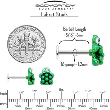 将图片加载到图库查看器，16G 5/16 Texture Turtle Labret Monroe Tragus
