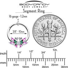 Load image into Gallery viewer, 16G 3/8 Clear CZ Gem Profile Butterflies Hinged Segment Ring
