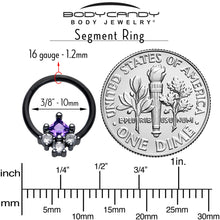 将图片加载到图库查看器，16G 3/8 Purple CZ Gem Black Rhombus Riot Hinged Segment Ring
