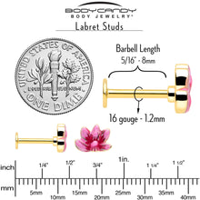 Load image into Gallery viewer, 16G 5/16 Clear Gem Gold Tone Ladybug Lotus Labret Tragus Set of 3

