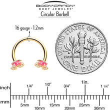 Load image into Gallery viewer, 16G 3/8 Gold Tone Butterfly Pink Splash Horseshoe Circular Barbell
