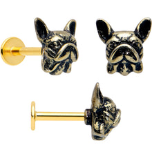 Load image into Gallery viewer, 16G French Bulldog Flat Back Earring Set Internally Threaded 3 Pack
