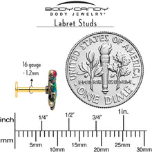 将图片加载到图库查看器，16G Frog Flat Back Earring Set Internally Threaded 3 Pack
