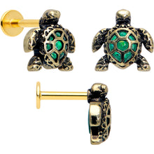 将图片加载到图库查看器，16G Sea Turtle Flat Back Earring Set Internally Threaded 3 Pack
