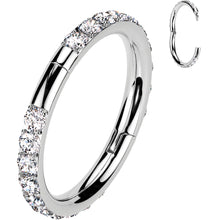 将图片加载到图库查看器，Implant Grade Titanium Forward CZ Double Sided Hoop Segment Ring
