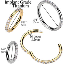 将图片加载到图库查看器，Implant Grade Titanium Forward CZ Double Sided Hoop Segment Ring
