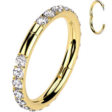 将图片加载到图库查看器，Implant Grade Titanium Forward CZ Double Sided Hoop Segment Ring
