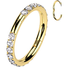 将图片加载到图库查看器，Implant Grade Titanium Forward CZ Double Sided Hoop Segment Ring
