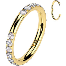 将图片加载到图库查看器，Implant Grade Titanium Forward CZ Double Sided Hoop Segment Ring
